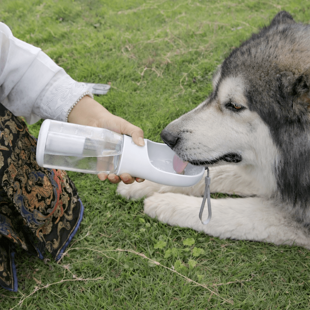 3 - in - 1 Portable Pet Water & Food Bottle - Gadget flow