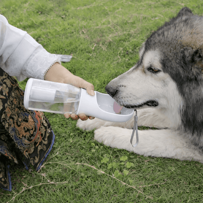 3 - in - 1 Portable Pet Water & Food Bottle - Gadget flow